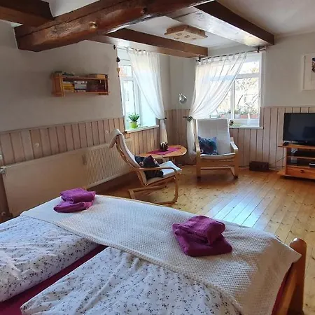Ferienwohnung Zur Ellernmuehle Bad Suderode Exterior photo