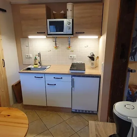 Ferienwohnung Zur Ellernmuehle Bad Suderode Exterior photo