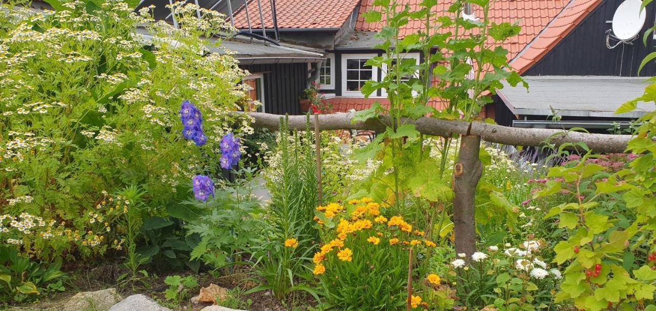 Zur Ellernmuehle Apartment Bad Suderode